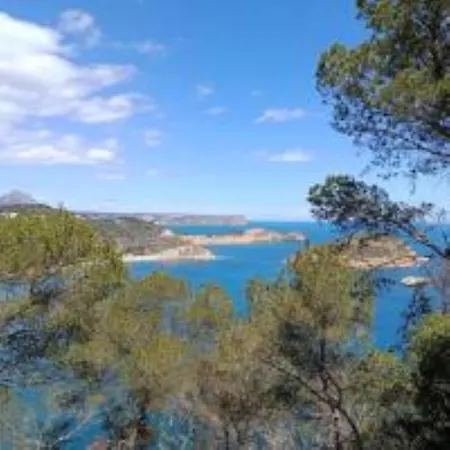 Les Pins *
