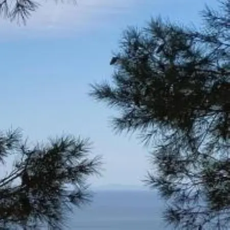 Les Pins Willa *