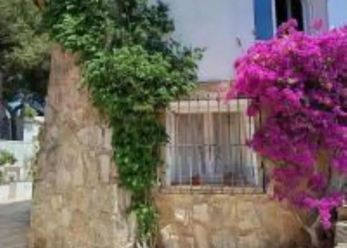 Les Pins *