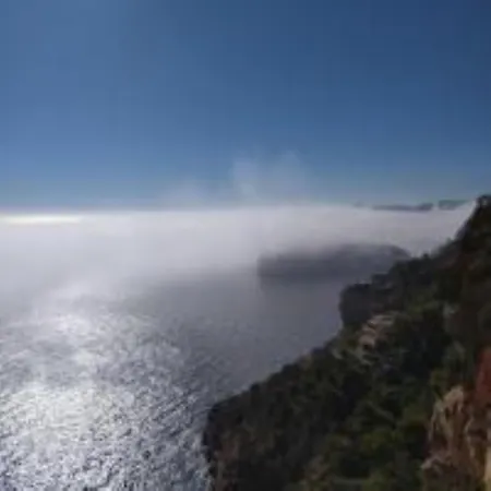 Les Pins
