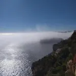 Les Pins
