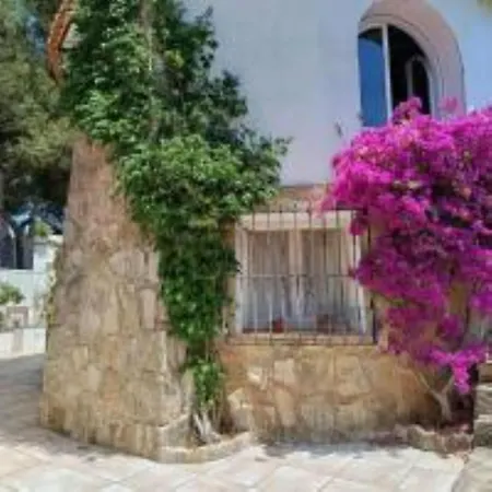 Les Pins *